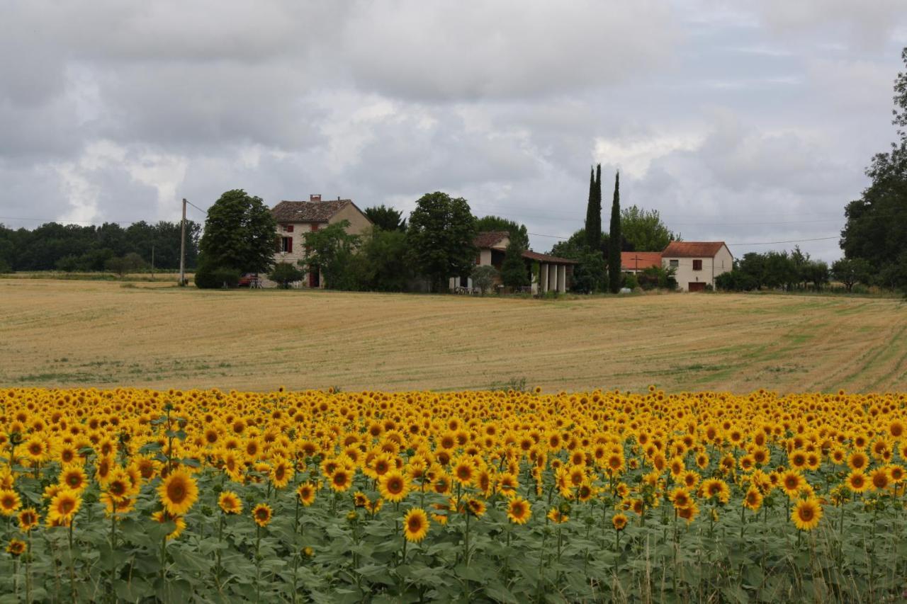 Bed and Breakfast Domaine 3 Soleils Labastide-de-Lévis Exterior foto